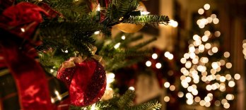 Christmas in Venice 2025