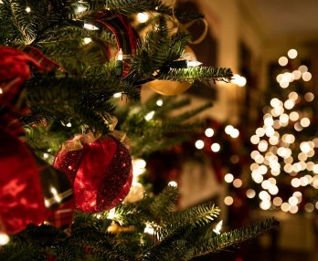 ヴェネツィアのクリスマス 2025