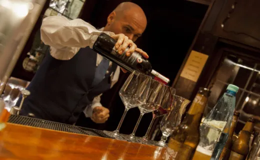 Wine Tasting and Dinner in Elegant Surroundings