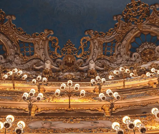 The Stars, Dance Gala